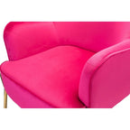 Lot de 2 fauteuils d'appoint en velours avec pieds dorés