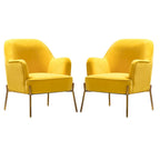 Lot de 2 fauteuils d'appoint en velours avec pieds dorés