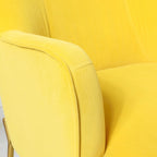 Lot de 2 fauteuils d'appoint en velours avec pieds dorés