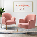 Lot de 2 fauteuils d'appoint en velours avec pieds dorés