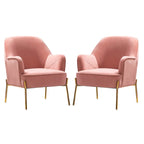 Lot de 2 fauteuils d'appoint en velours avec pieds dorés